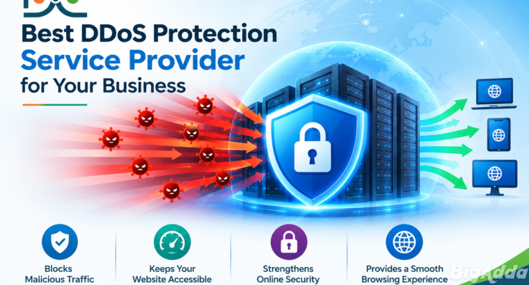 Best DDoS Protection Service Provider for Your Bus