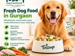 Fresh Dog Food Delivery in Gurgaon
