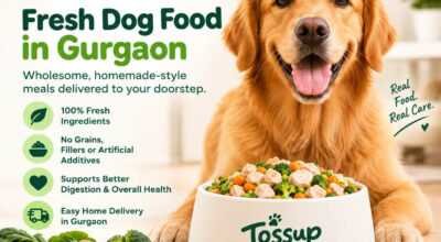 Fresh Dog Food Delivery in Gurgaon
