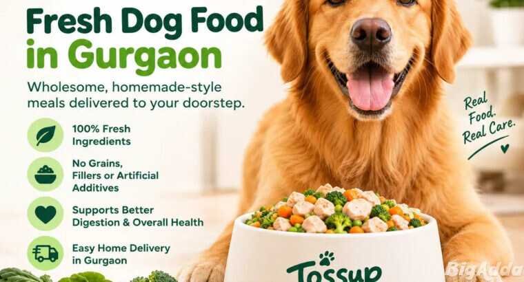 Fresh Dog Food Delivery in Gurgaon