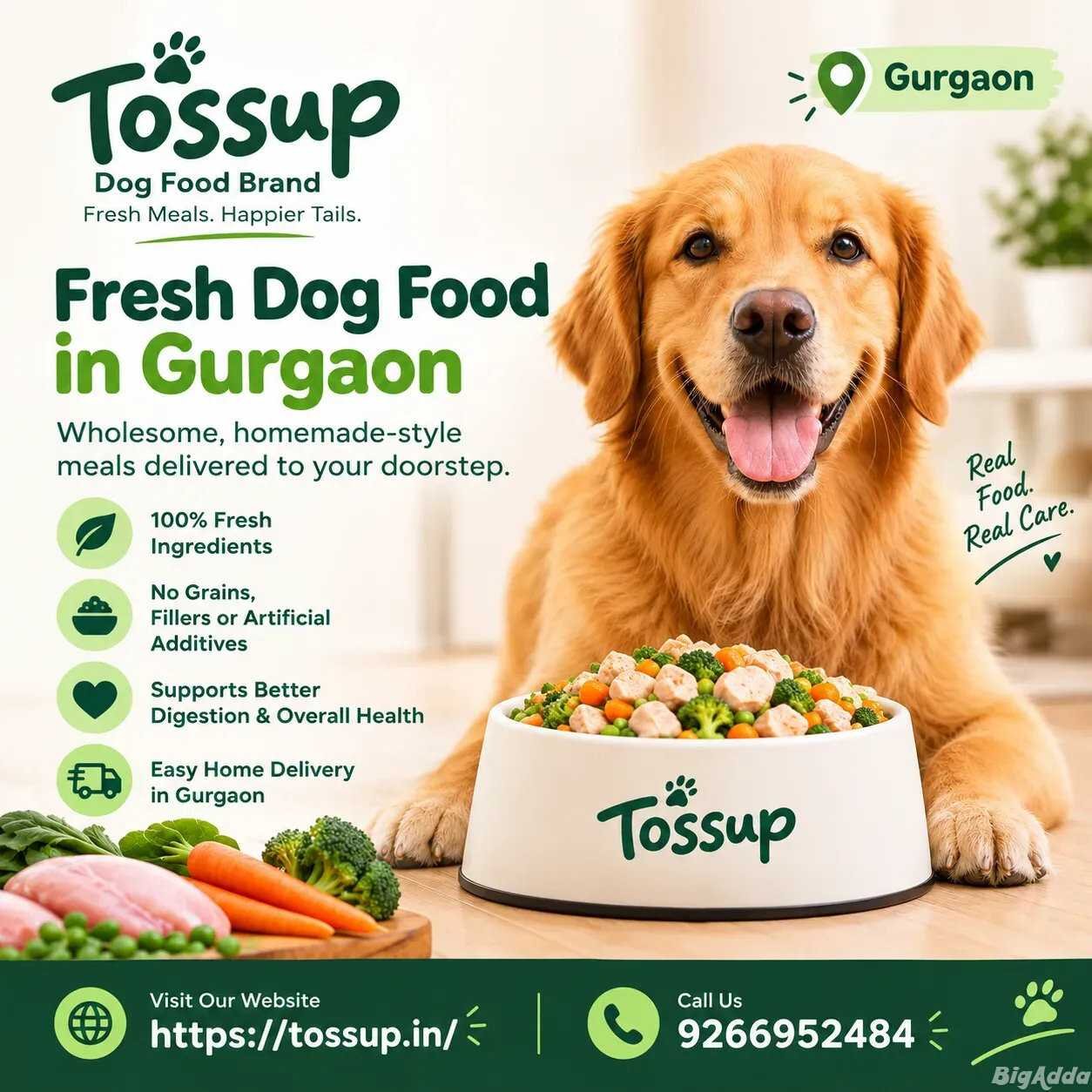 Fresh Dog Food Delivery in Gurgaon
