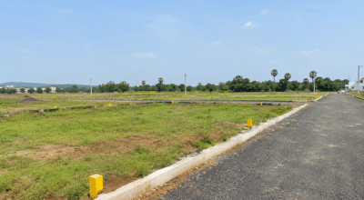 Plots for Sale in Gaya Dobhi Road, Gaya