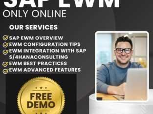 Master SAP EWM with Version IT- One of the Best SA