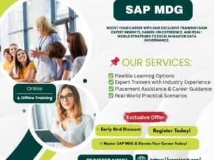 Master SAP MDG with Version IT – One of the Best S