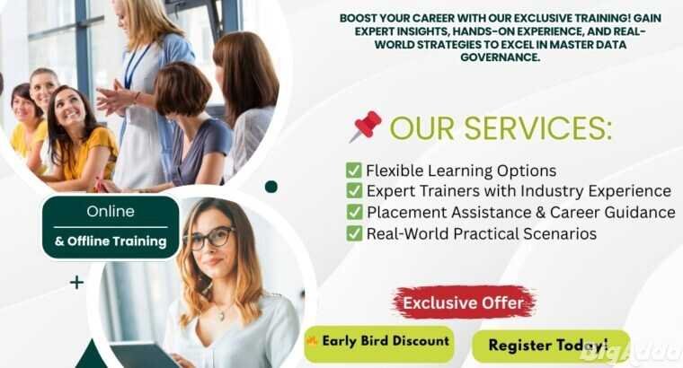 Master SAP MDG with Version IT – One of the Best S