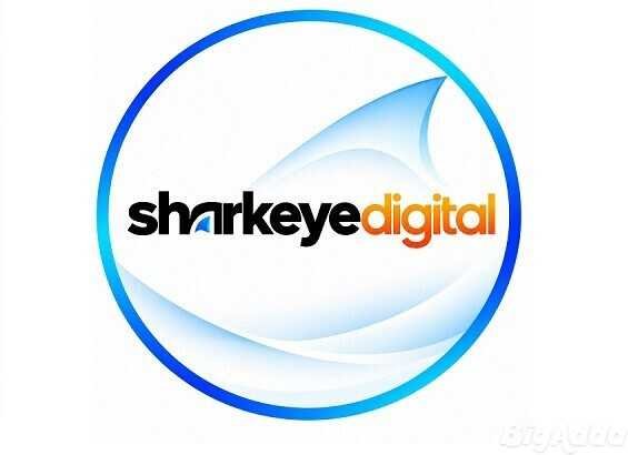 SEO Training In Ludhiana – Shark Eye Digital