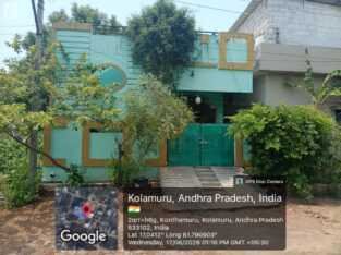 Commercial house for rent