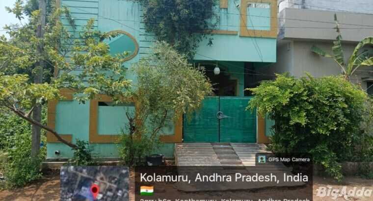 Commercial house for rent