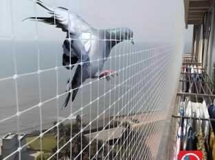 Pigeon Netting & Bird Spikes Service in Noida NCR