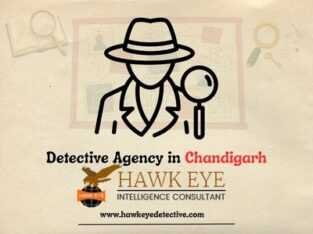 Top Detective Agency in Chandigarh – Hawkeye