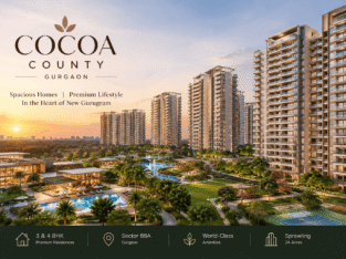 How Does the Cocoa County Gurgaon Price