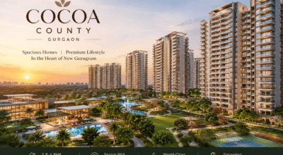 How Does the Cocoa County Gurgaon Price