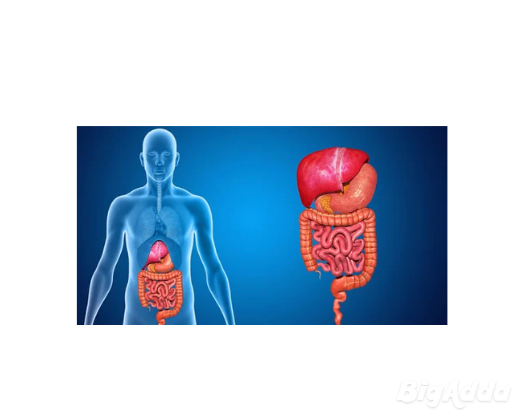 Gastroenterologist Doctor in Ahmedabad – Dr. Neil