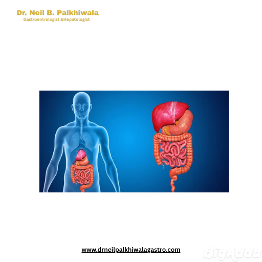 Gastroenterologist Doctor in Ahmedabad – Dr. Neil