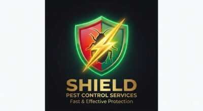 Pest Control Services in Noida