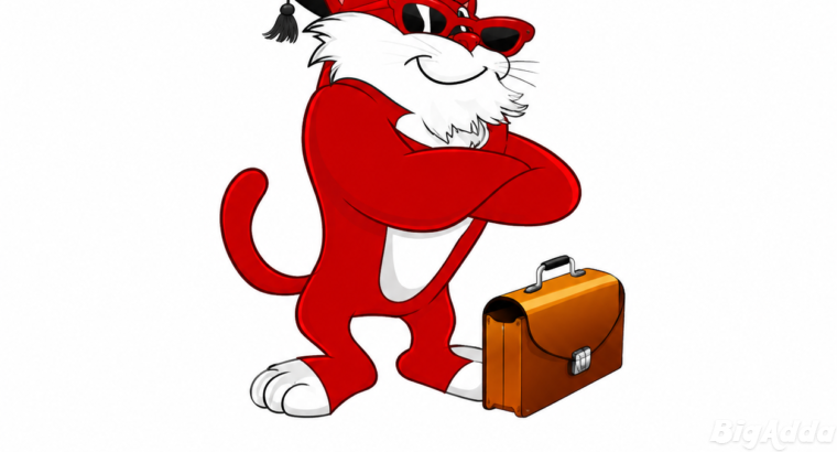 Leo Packers and Movers in Chandigarh
