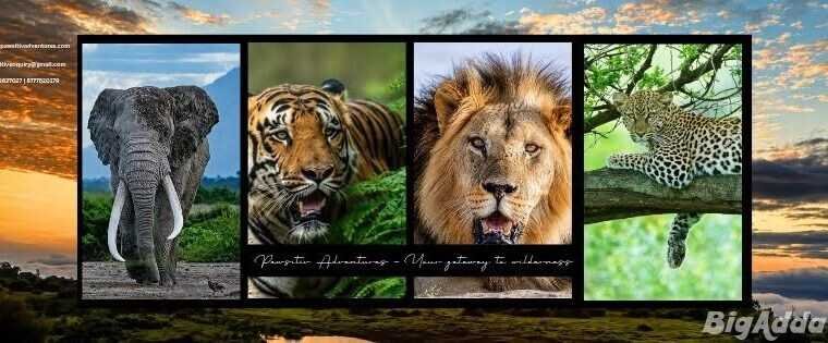 Kenya Safari from India: What Should You Know Befo