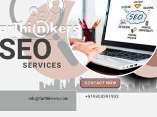 Seo Agency in Noida Get best results guaranteed